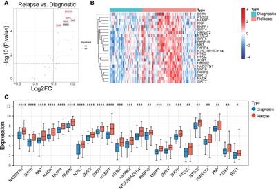 Integrating RNA-seq and scRNA-seq to explore the biological significance of NAD + metabolism-related genes in the initial diagnosis and relapse of childhood B-cell acute lymphoblastic leukemia